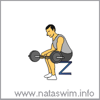 Seated Barbell Wrist Curl
