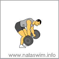 Bentover Barbell Rear Delt Row