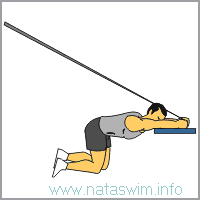 Kneeling Cable Tricep Extension