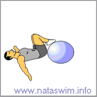 Hamstring Curl