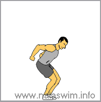 Multiple Jump Squats