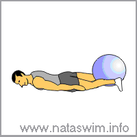 Prone Hamstring Curl with Ball