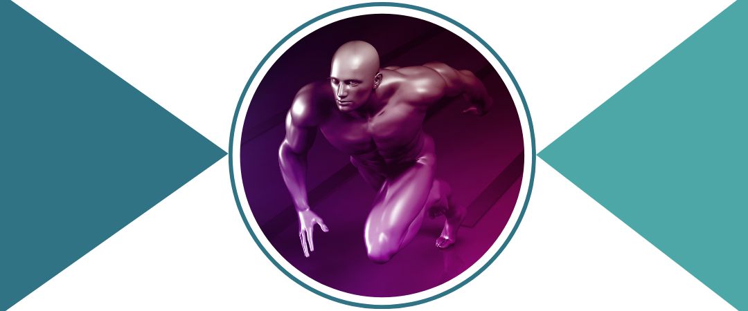 Physiologie : Systèmes, Appareils et Grandes Fonctions de l'Organisme
