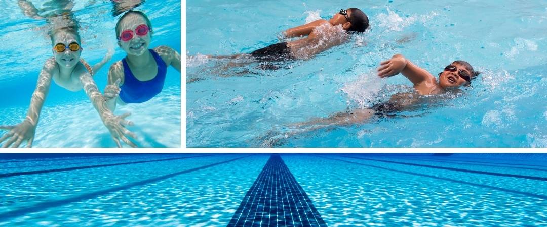Data Natation : Graphiques et Analyse de l'Apprentissage