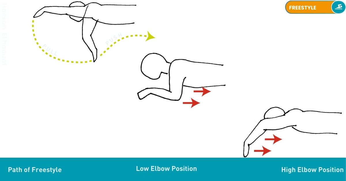 Freestyle : - Arm Stroke Drills