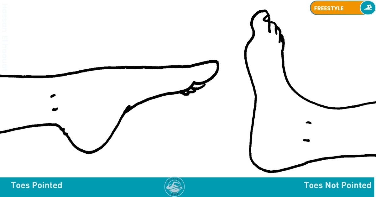 FreeStyle : - Kick Drills