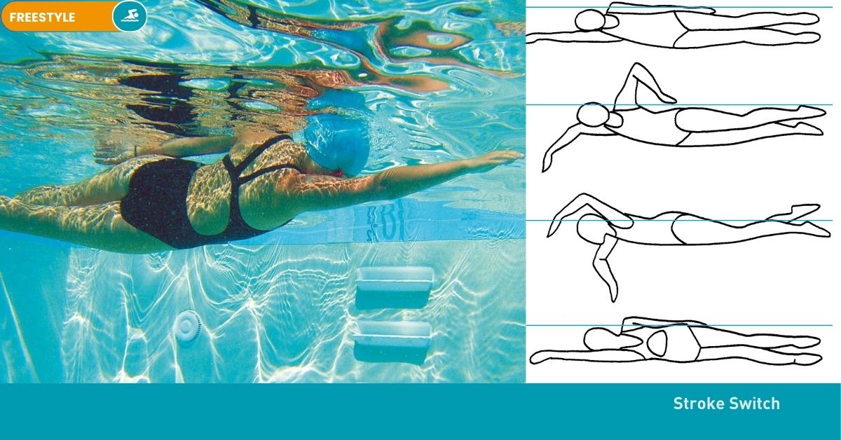 Swimming Drills Stroke Nataswim Elhaouat 25