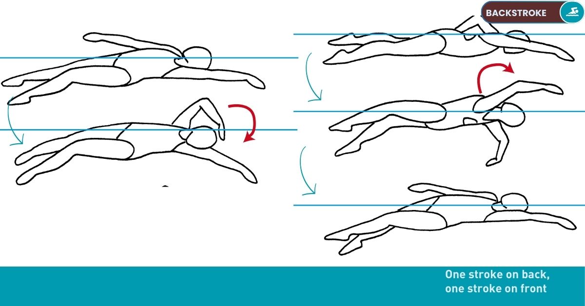 Swimming Drills Stroke Nataswim Elhaouat 52