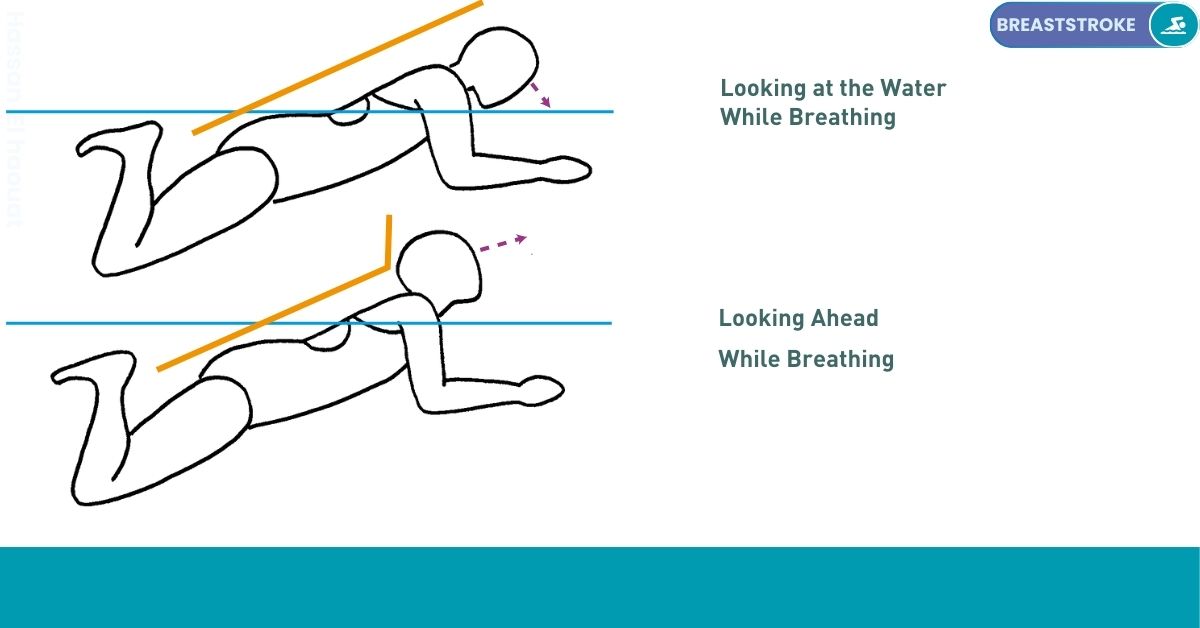 Swimming Drills Stroke Nataswim Elhaouat 90
