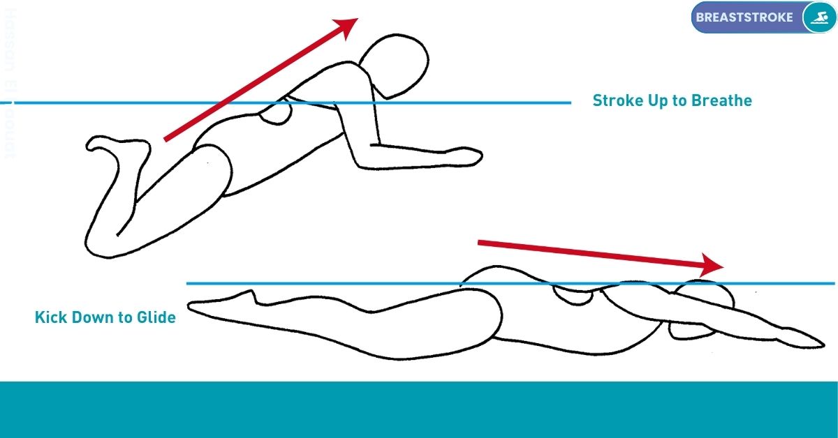 Swimming Drills Stroke Nataswim Elhaouat 94