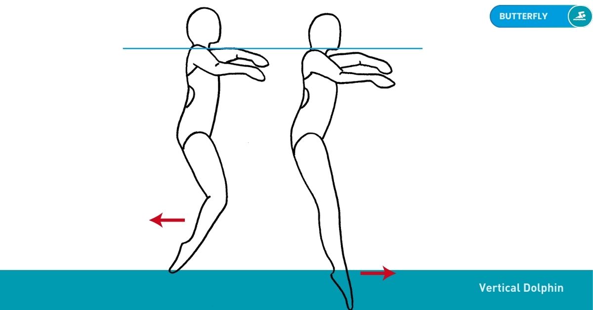 Swimming Drills Stroke Nataswim Elhaouat 104