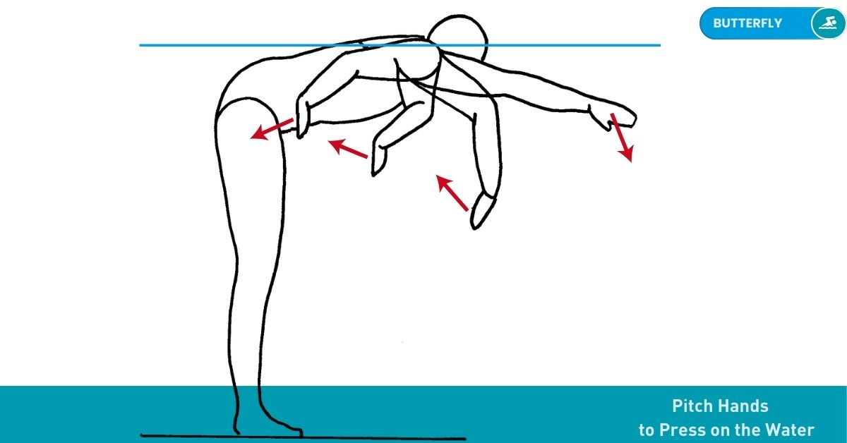 Swimming Drills Stroke Nataswim Elhaouat 106