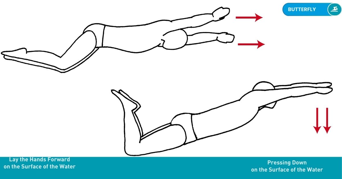 Swimming Drills Stroke Nataswim Elhaouat 123