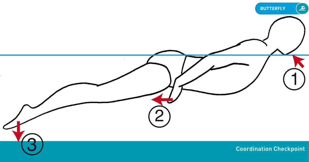 Swimming Drills Stroke Nataswim Elhaouat 122
