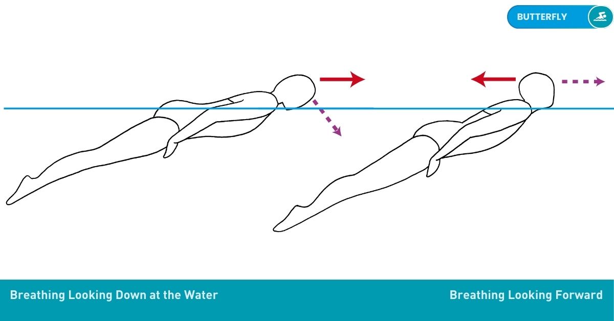 Swimming Drills Stroke Nataswim Elhaouat 116