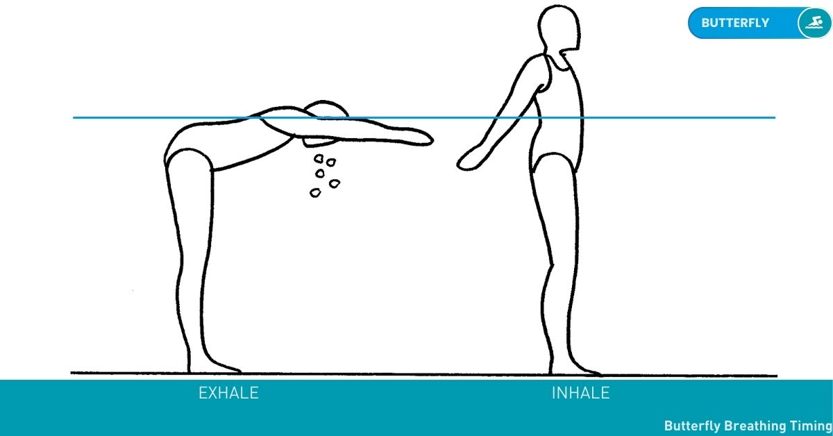 Swimming Drills Stroke Nataswim Elhaouat 114