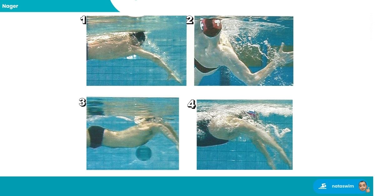 Les fondements pratiques d'une nage performante