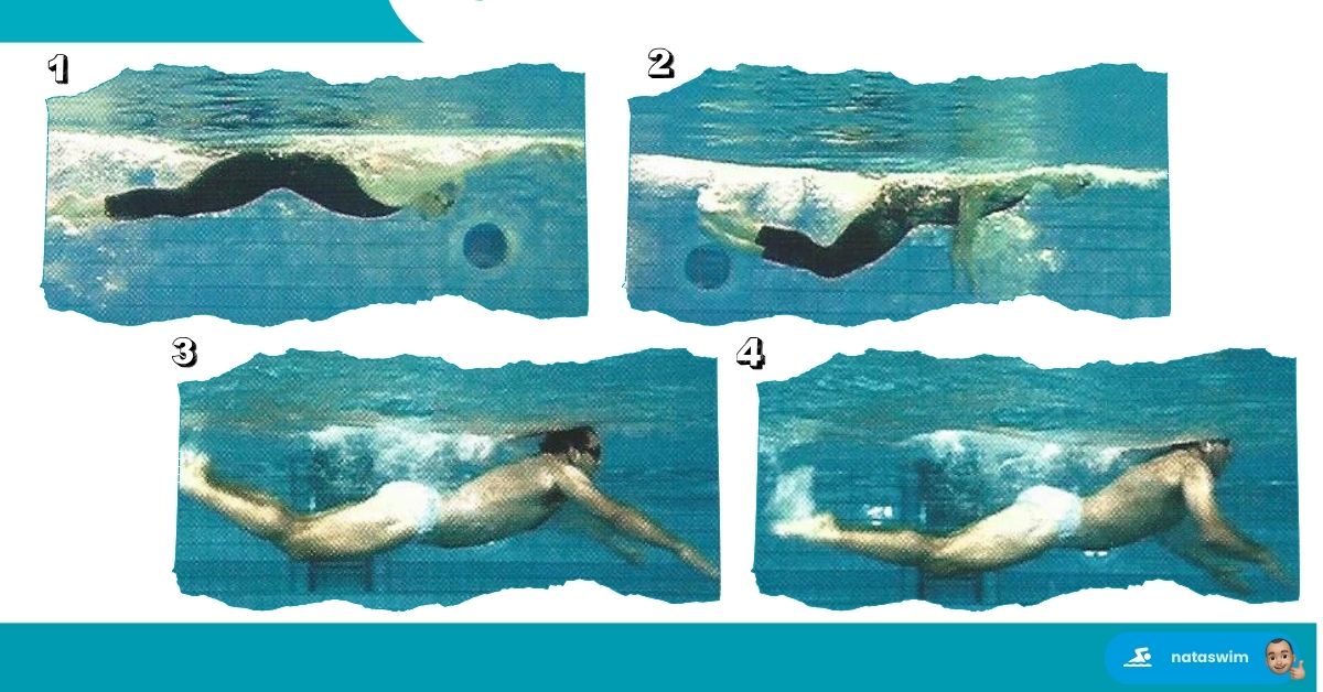 Optimiser Technique Papillon 3
