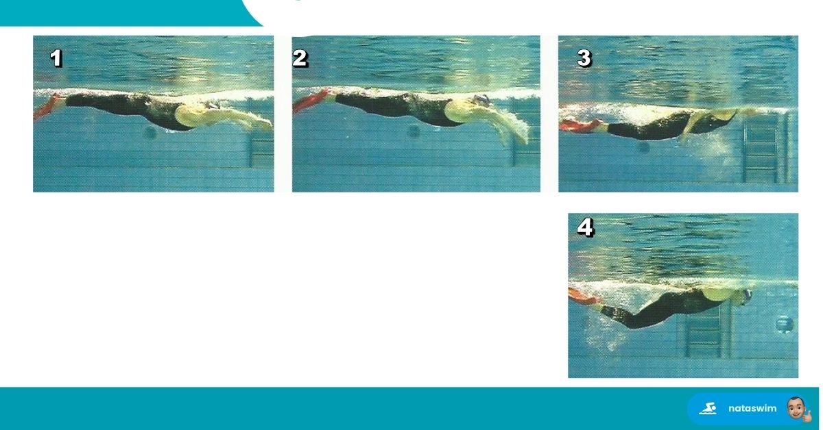 Optimiser Technique Papillon 7