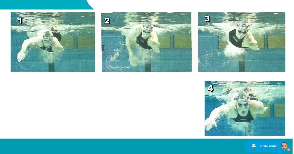 Optimiser Technique Papillon 6