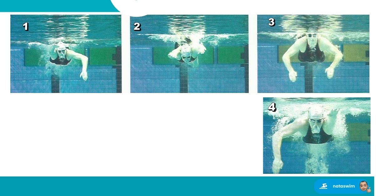 Optimiser Technique Papillon 5