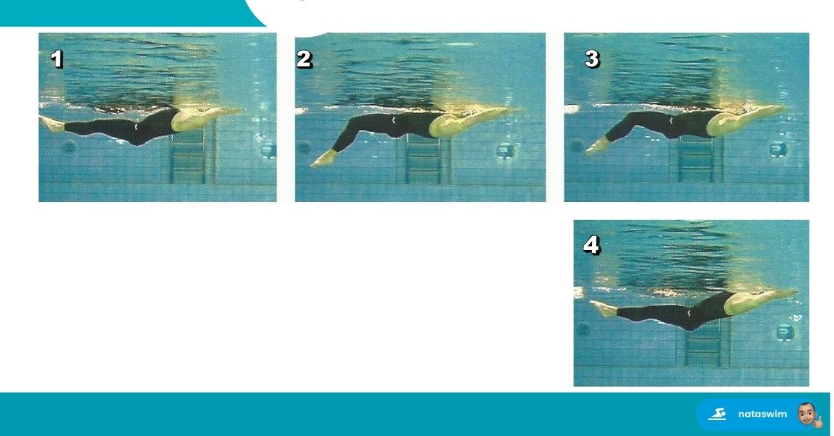 Optimiser Technique Papillon 8
