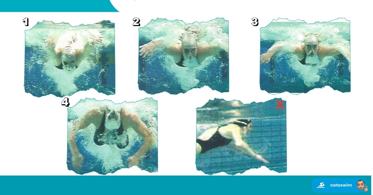 Optimiser Technique Papillon 2